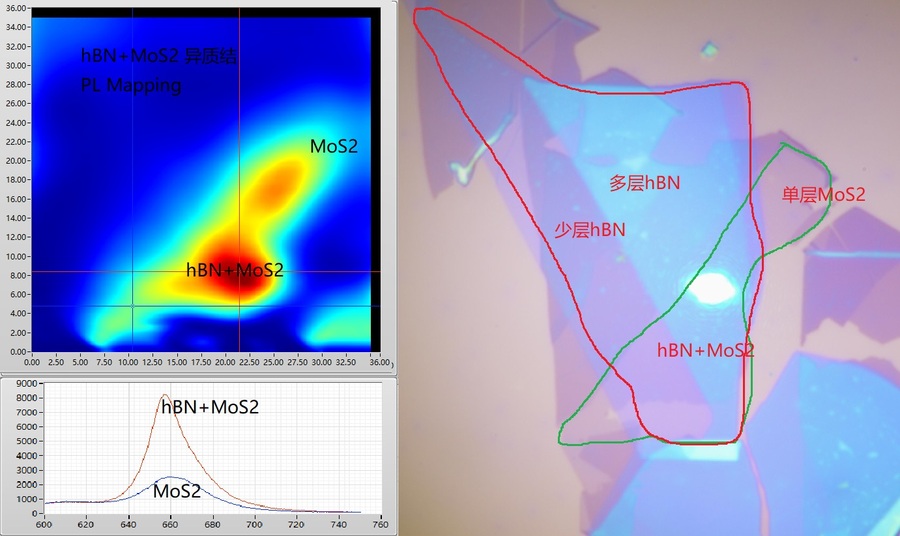 MoS2+hBN异质结 PL Mapping.jpg